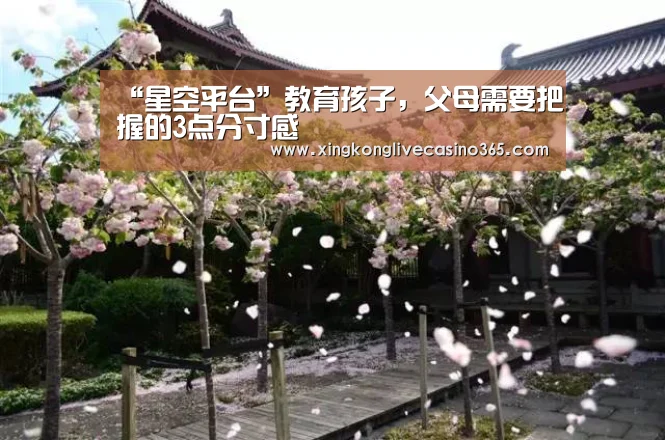“星空平台”教育孩子,父母需要把握的3点分寸感(图3) 星空下载